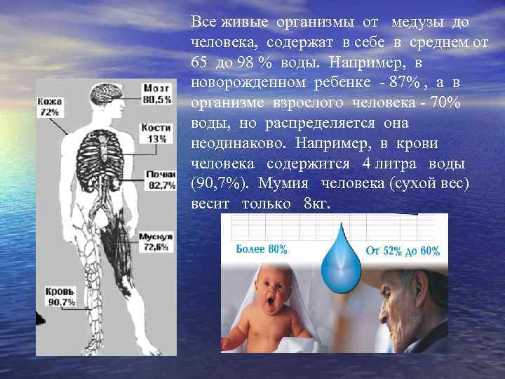 Все живые организмы от медузы до человека, содержат в себе в среднем от 65