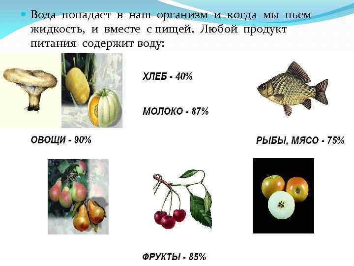  Вода попадает в наш организм и когда мы пьем жидкость, и вместе с