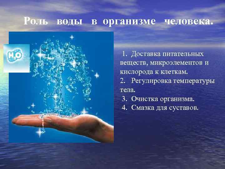 Роль водного. Роль воды в организме человека. Вода в нашем организме. Роль воды в человеческом организме. Роль воды в живой природе.