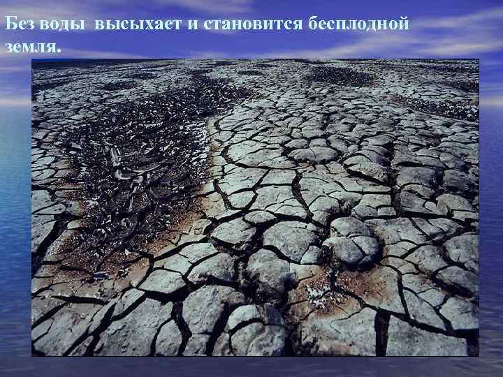 Без воды высыхает и становится бесплодной земля. 