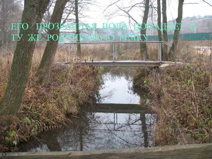 ЕГО ПРОЗРАЧНАЯ ВОДА ПОПАДАЕТ В ТУ ЖЕ РОДНИКОВУЮ РЕЧКУ О 