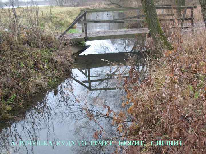  А РЕЧУШКА КУДА ТО ТЕЧЕТ, БЕЖИТ, СПЕШИТ. 