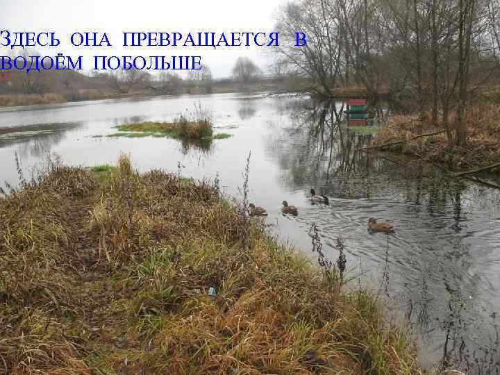 ЗДЕСЬ ОНА ПРЕВРАЩАЕТСЯ В ВОДОЁМ ПОБОЛЬШЕ 