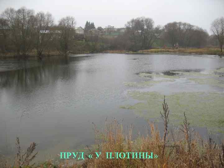 ПРУД « У ПЛОТИНЫ» 