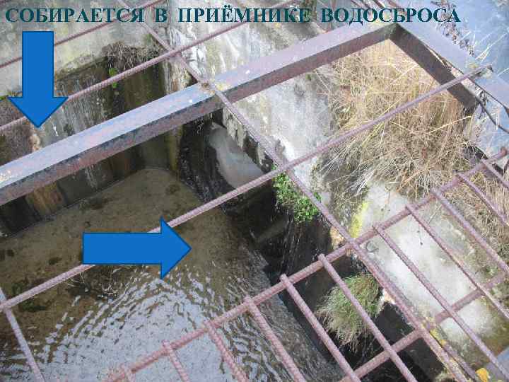 СОБИРАЕТСЯ В ПРИЁМНИКЕ ВОДОСБРОСА 