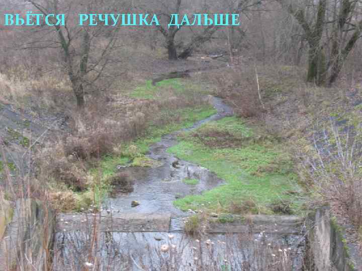 ВЬЁТСЯ РЕЧУШКА ДАЛЬШЕ 