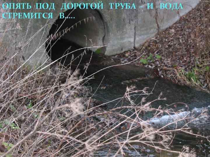 ОПЯТЬ ПОД ДОРОГОЙ ТРУБА - И ВОДА СТРЕМИТСЯ В…. . 