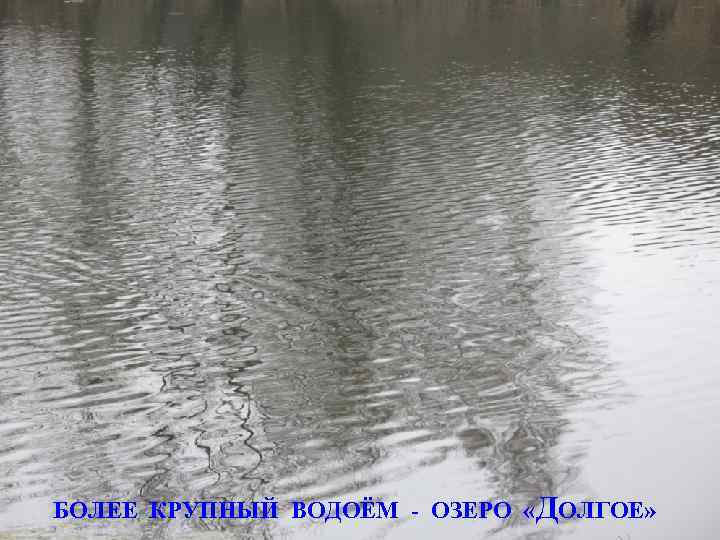 БОЛЕЕ КРУПНЫЙ ВОДОЁМ - ОЗЕРО «ДОЛГОЕ» 