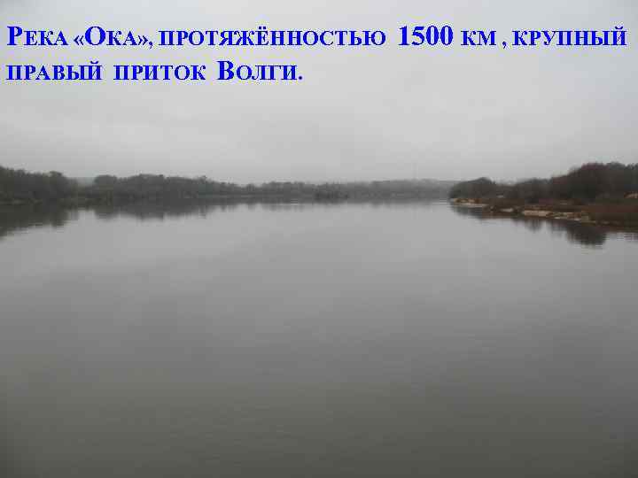 РЕКА «ОКА» , ПРОТЯЖЁННОСТЬЮ 1500 КМ , КРУПНЫЙ ПРАВЫЙ ПРИТОК ВОЛГИ. 