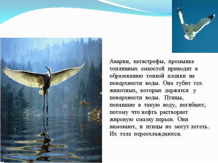 Аварии, катастрофы, промывка топливных емкостей приводит к образованию тонкой пленки на поверхности воды. Она