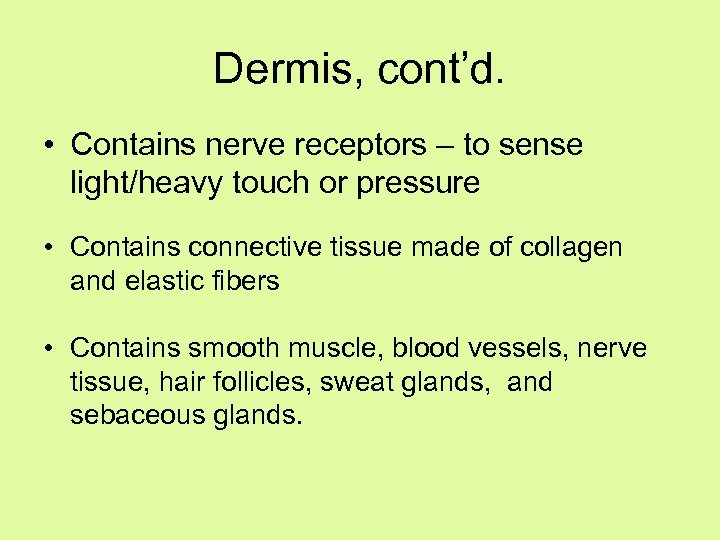 Dermis, cont’d. • Contains nerve receptors – to sense light/heavy touch or pressure •
