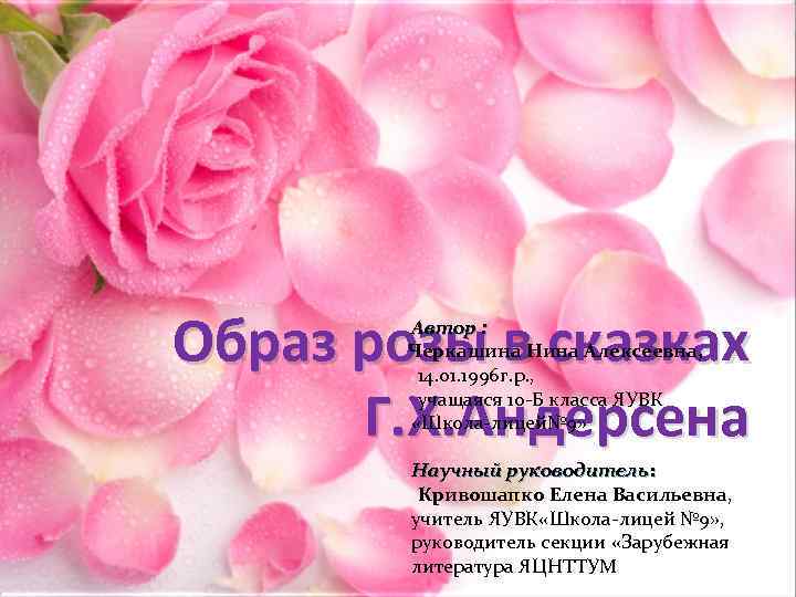 Образ розы в сказках Г. Х. Андерсена Автор : Черкашина Нина Алексеевна, 14. 01.