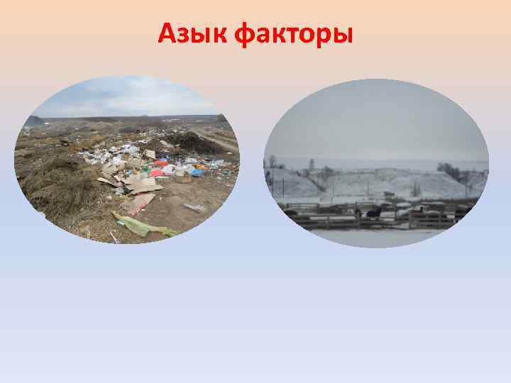 Азык факторы 