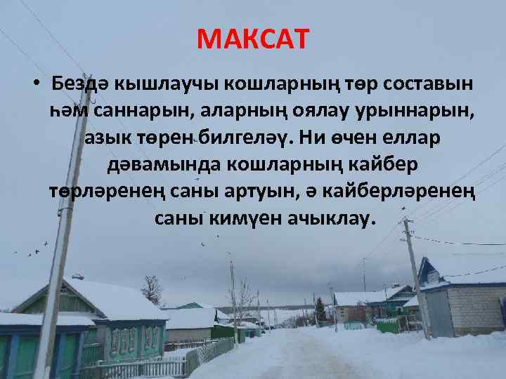 МАКСАТ • Бездә кышлаучы кошларның төр составын һәм саннарын, аларның оялау урыннарын, азык төрен