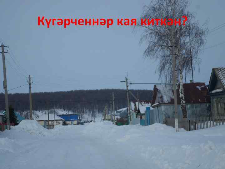 Күгәрченнәр кая киткән? 