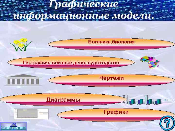 Графические информационные модели. Ботаника, биология География, военное дело, судоходство Чертежи Диаграммы Графики Содержание 
