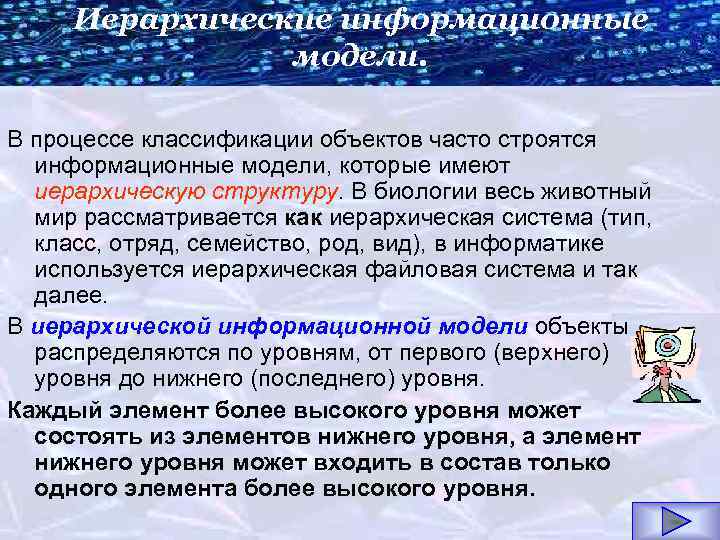 Иерархические информационные модели. В процессе классификации объектов часто строятся информационные модели, которые имеют иерархическую
