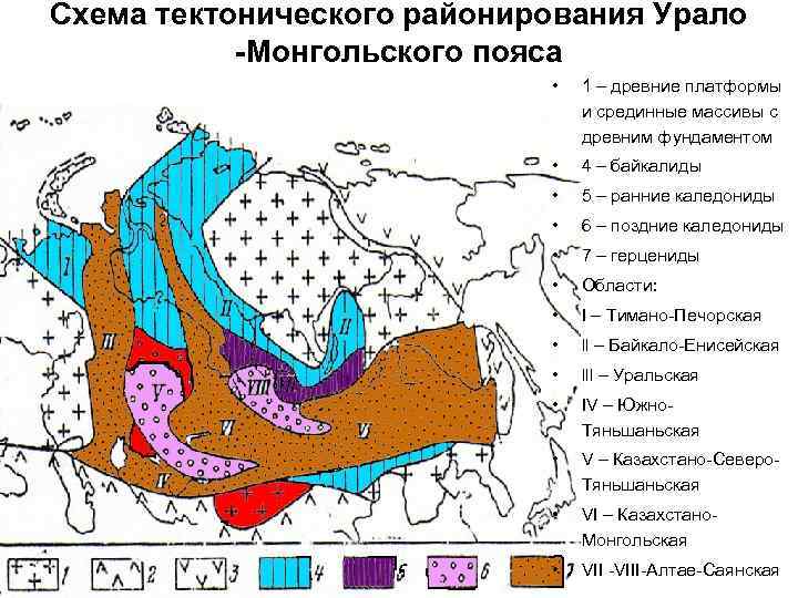 Урал тектоническая структура. Тектоническое районирование Урало монгольского пояса. Тектоническая карта Урало-монгольского пояса. Урало монгольский пояс на карте. Урало-монгольский складчатый пояс.