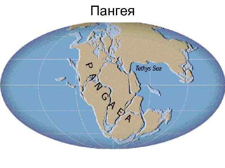 Пангея 