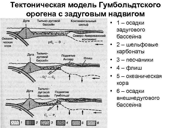 Тектоническая модель Гумбольдтского орогена с задуговым надвигом • 1 – осадки задугового бассейна •