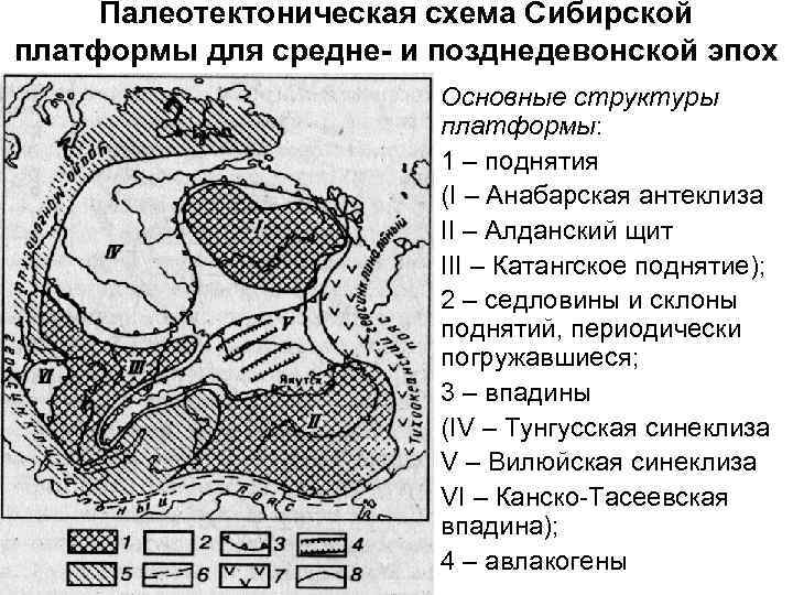 Строение сибирской платформы. Схема тектонического районирования сибирской платформы. Синеклизы сибирской платформы. Сибирская платформа Тунгусская синеклиза. Сибирская платформа складчатость.