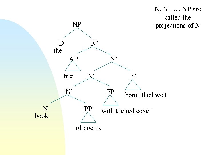 N, N’, … NP are called the projections of N NP D the N’