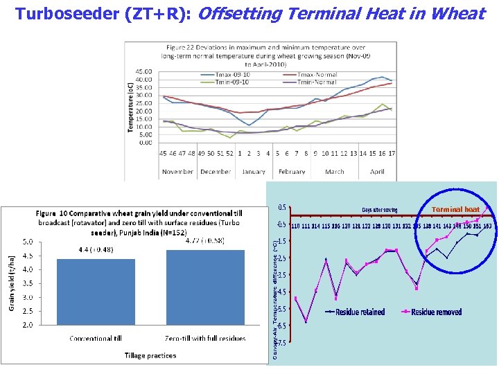 Turboseeder (ZT+R): Offsetting Terminal Heat in Wheat Terminal heat 