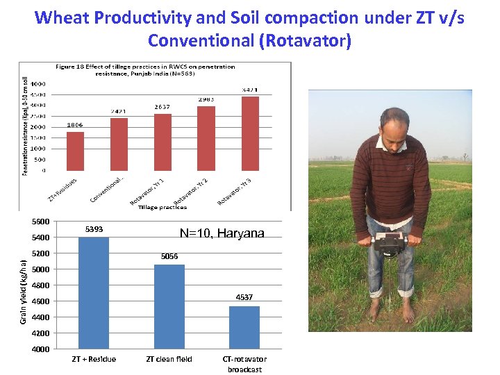 Wheat Productivity and Soil compaction under ZT v/s Conventional (Rotavator) 5600 5400 5393 Grain