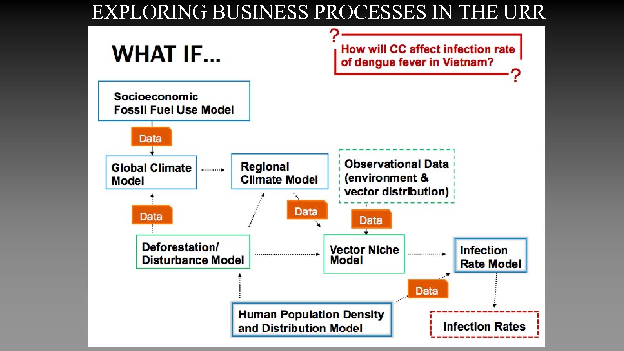 EXPLORING BUSINESS PROCESSES IN THE URR 