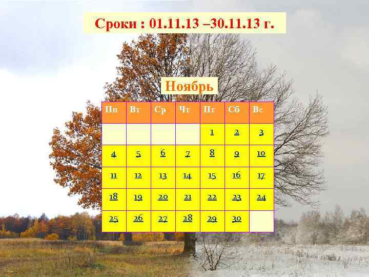 Сроки : 01. 13 – 30. 11. 13 г. Ноябрь Пн Вт Ср Чт