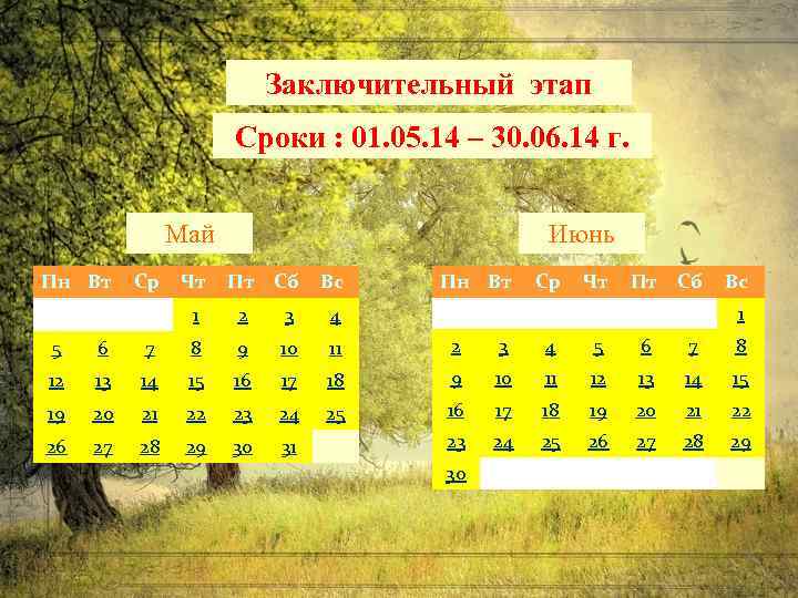 Заключительный этап Сроки : 01. 05. 14 – 30. 06. 14 г. Май Пн