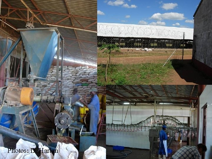 Public Private Partnerships Photos: D. Harlan 