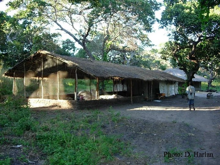 Public Private Partnerships Photo: D. Harlan 