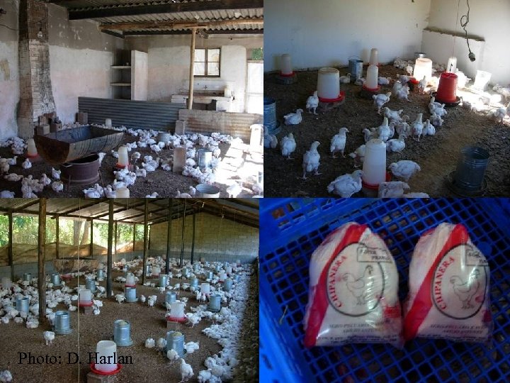 Public Private Partnerships Photo: D. Harlan 