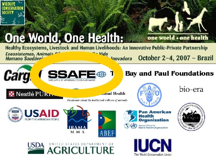 Public Private Partnerships 