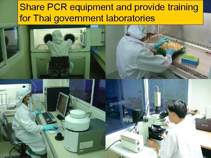 Public Private Partnerships Share PCR equipment and provide training for Thai government laboratories 