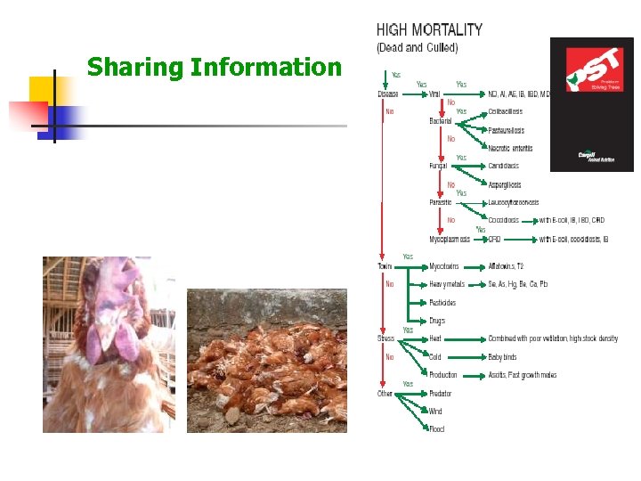 Public Private Partnerships Sharing Information 