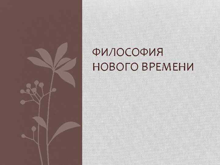 ФИЛОСОФИЯ НОВОГО ВРЕМЕНИ 