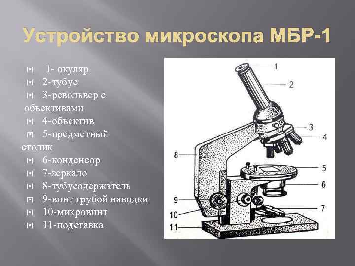 Ольга на уроке изучал устройство микроскопа и делал соответствующие подписи к рисунку какую деталь