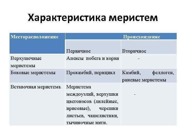 Характеристика меристем Месторасположение Верхушечные меристемы Боковые меристемы Вставочная меристема Происхождение Первичное Вторичное Апексы побега