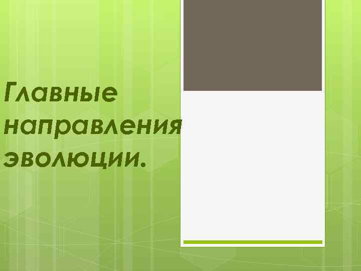 Главные направления эволюции. 