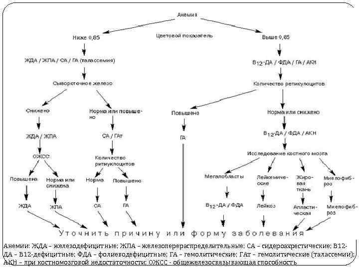 Анемии: ЖДА – железодефицитные; ЖПА – железоперераспределительные; СА – сидероахрестические; В 12 ДА –