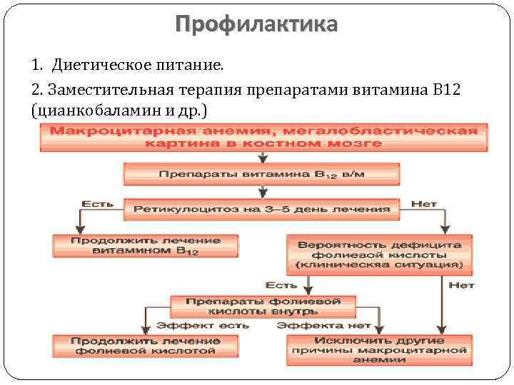 Профилактика анемий презентация