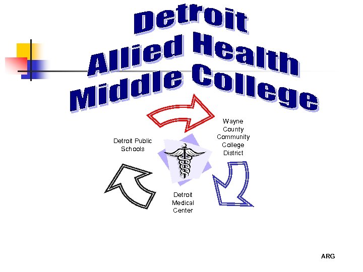Wayne County Community College District Detroit Public Schools Detroit Medical Center ARG 