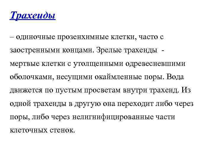 Трахеиды – одиночные прозенхимные клетки, часто с заостренными концами. Зрелые трахеиды мертвые клетки с