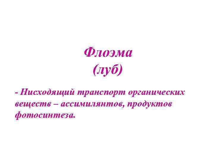 Флоэма (луб) - Нисходящий транспорт органических веществ – ассимилянтов, продуктов фотосинтеза. 