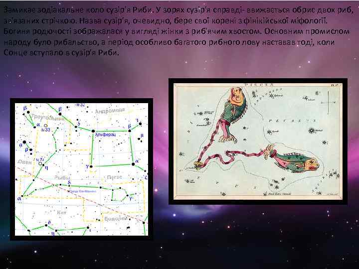 Замикає зодіакальне коло сузір'я Риби. У зорях сузір'я справді- ввижається обрис двох риб, зв'язаних