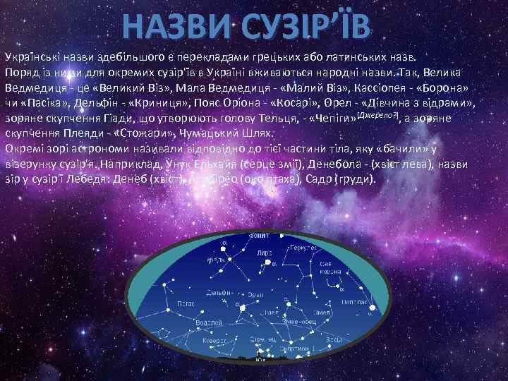 НАЗВИ СУЗІР’ЇВ Українські назви здебільшого є перекладами грецьких або латинських назв. Поряд із ними