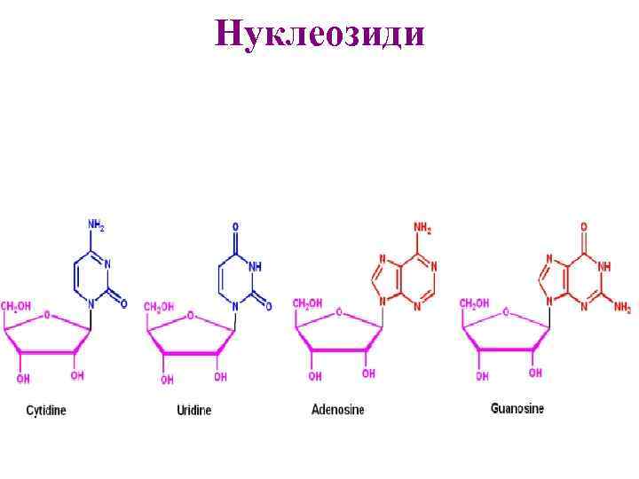 Нуклеозиди 