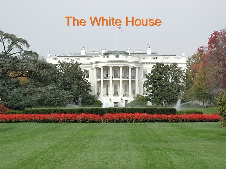 The White House 